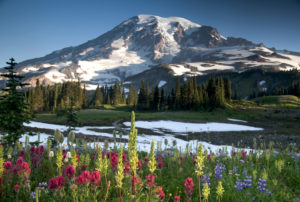 Mount Rainier National Park campground closures 
